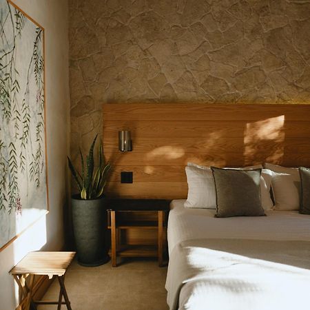 Mya Hotel Valle de Guadalupe Bagian luar foto