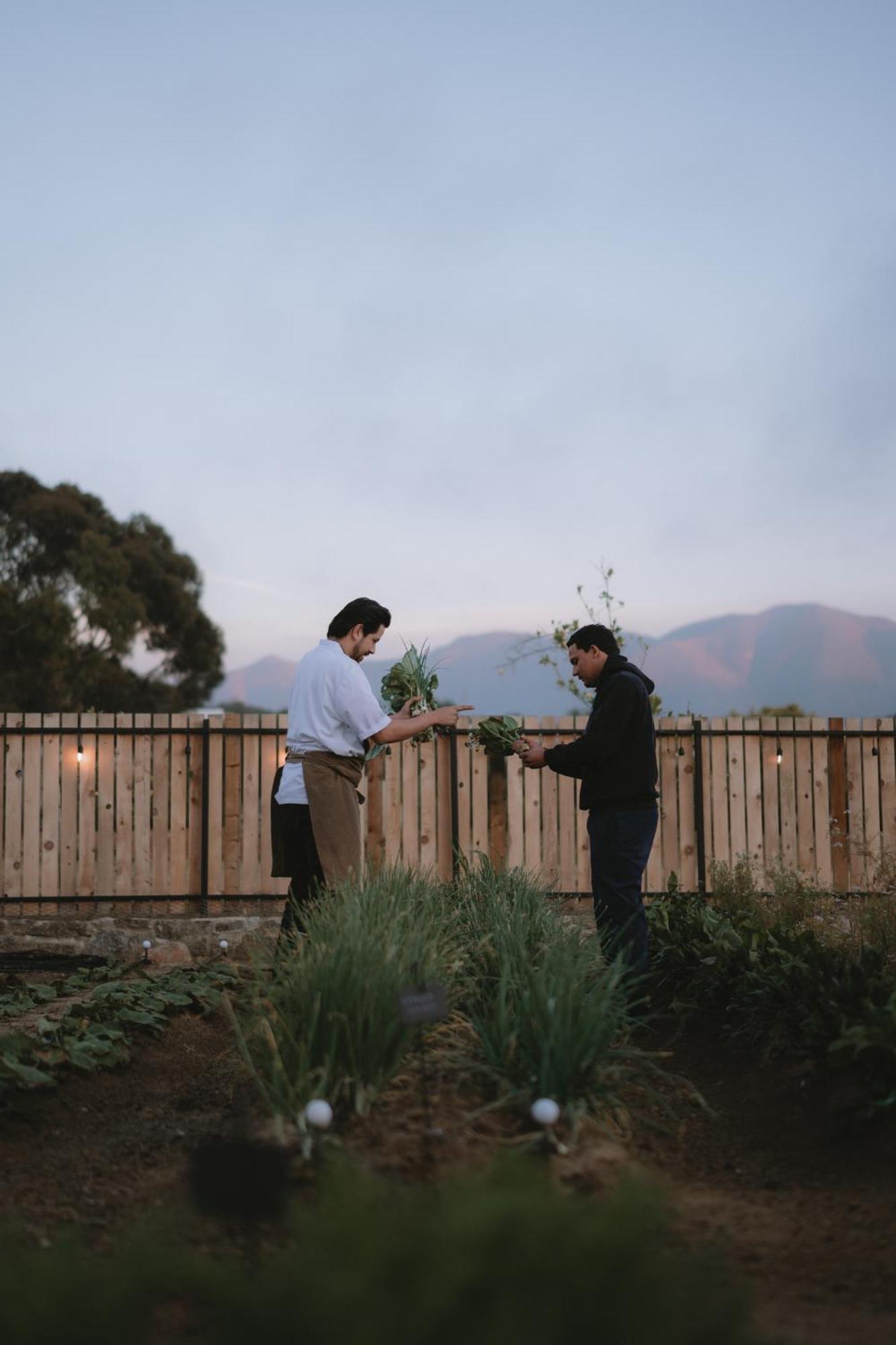 Mya Hotel Valle de Guadalupe Bagian luar foto
