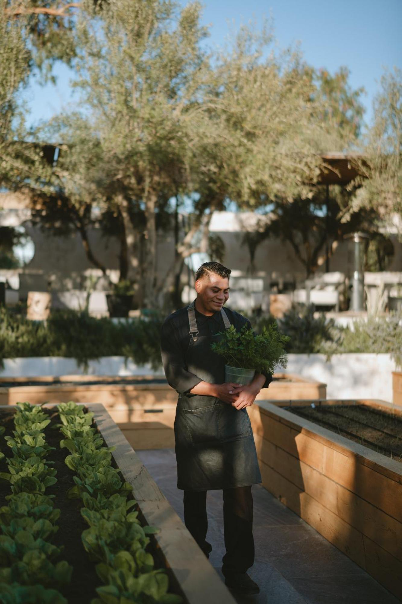 Mya Hotel Valle de Guadalupe Bagian luar foto