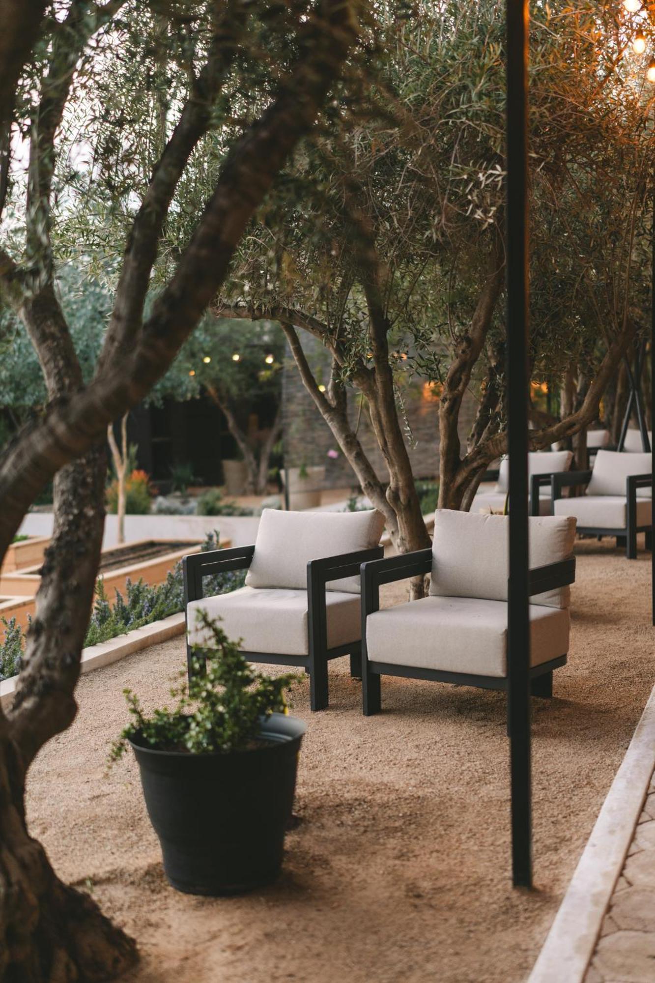 Mya Hotel Valle de Guadalupe Bagian luar foto