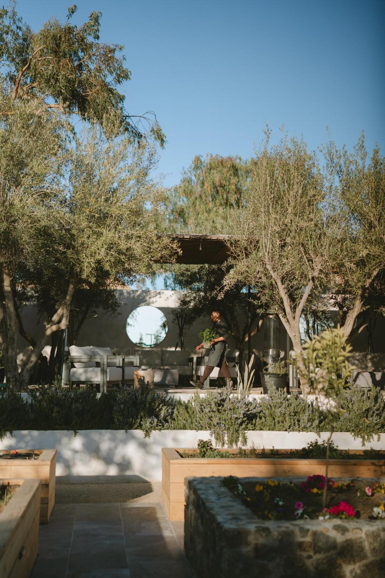 Mya Hotel Valle de Guadalupe Bagian luar foto