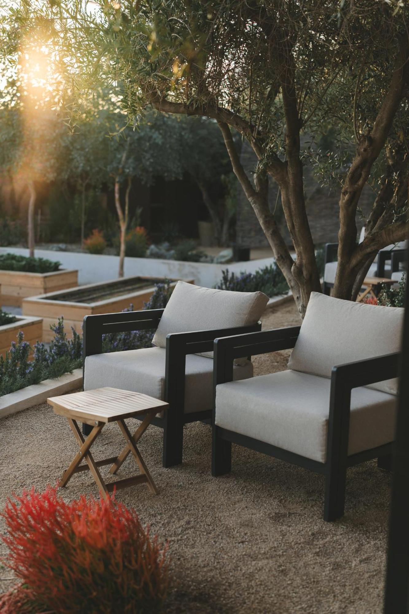 Mya Hotel Valle de Guadalupe Bagian luar foto